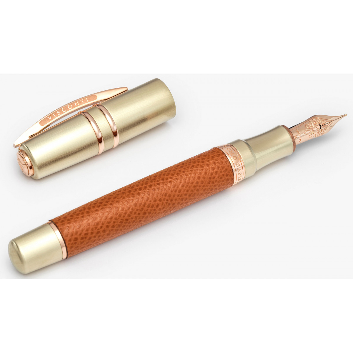 Перьевая ручка Visconti Homo Sapiens Dual Touch Cognac, KP15-22-FPEF Перьевая ручка Visconti Homo Sapiens Dual Touch Cognac, артикул KP15-22-FPEF. Фото 1